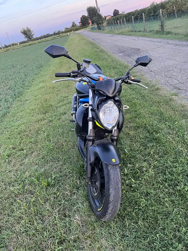 Suzuki Gladius 650