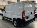 Fiat Ducato 2.3 120cv L1H1 Blanc - thumbnail 2