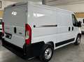 Fiat Ducato 2.3 120cv L1H1 Blanc - thumbnail 3