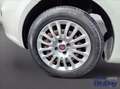 Fiat Punto 1.2 8V 5 porte Street Bianco - thumbnail 15