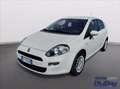 Fiat Punto 1.2 8V 5 porte Street Bianco - thumbnail 1