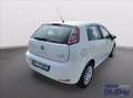 Fiat Punto 1.2 8V 5 porte Street Bianco - thumbnail 10