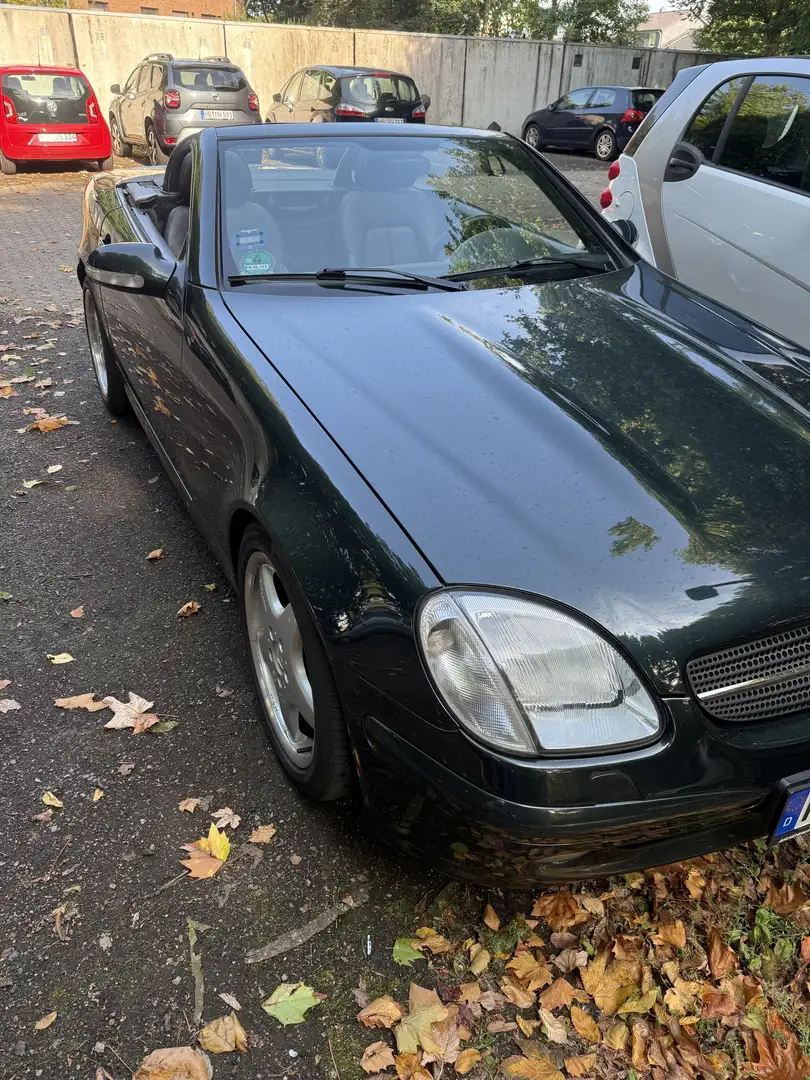 Mercedes-Benz SLK 320 AUT V6 | SHZ| XEN | TMP | TOP ZUSTAND Grün - 2