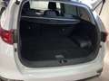 Kia Sportage Sportage 1.6 GPL 2WD Weiß - thumbnail 17