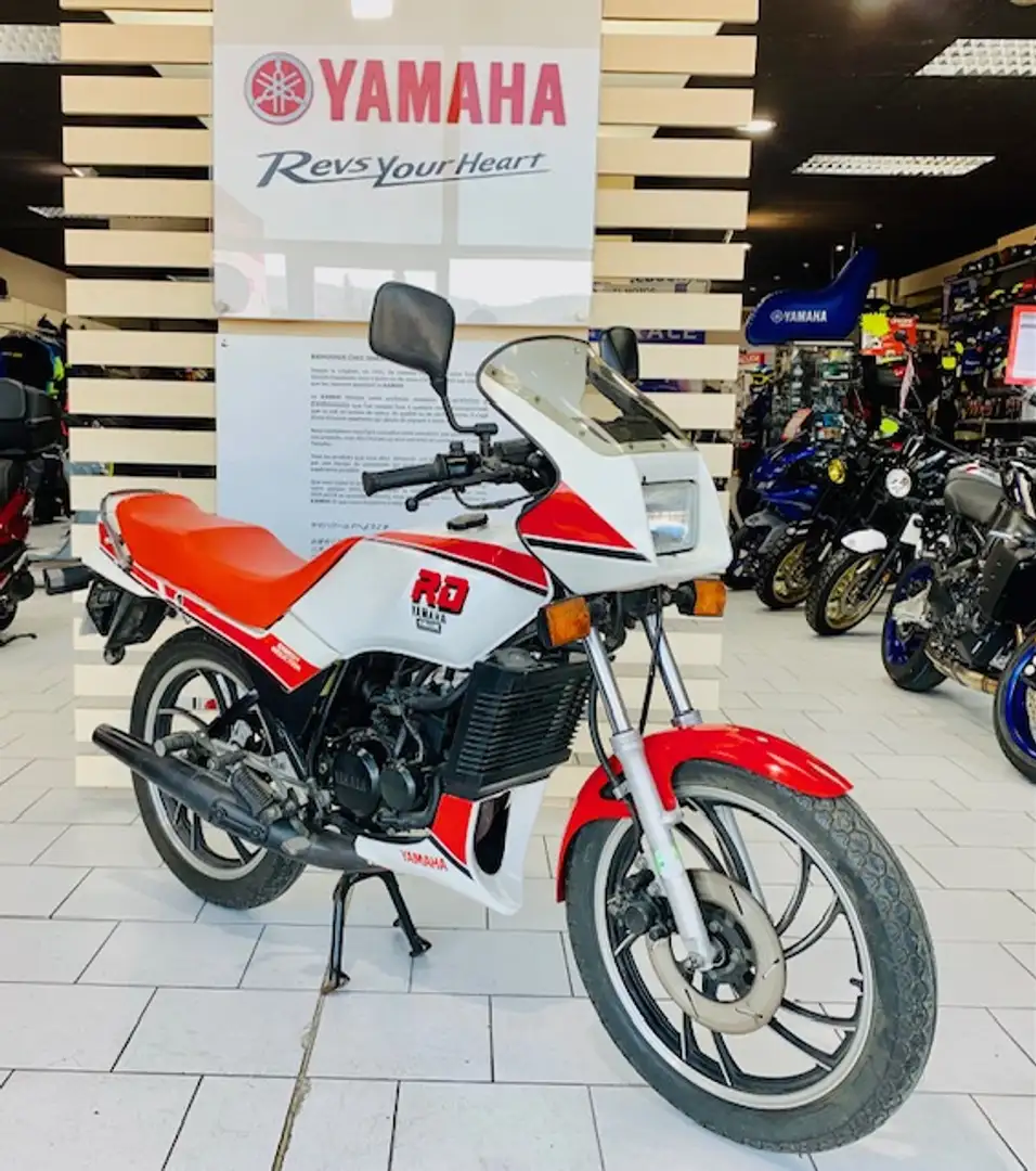 Yamaha RD 80 Blanc - 2