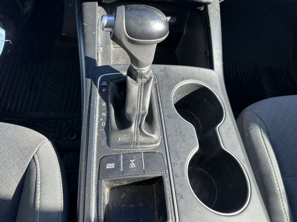 Image 15
