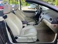 Ford Focus 2.0 Cabrio Titanium/12 Monate Garantie Braun - thumbnail 14
