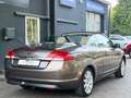 Ford Focus 2.0 Cabrio Titanium/12 Monate Garantie Braun - thumbnail 9
