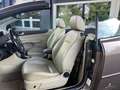 Ford Focus 2.0 Cabrio Titanium/12 Monate Garantie Braun - thumbnail 13