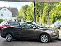 Ford Focus 2.0 Cabrio Titanium/12 Monate Garantie Braun - thumbnail 7