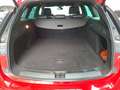Opel Insignia Insignia ST 2.0 CDTI 4x4 Ultimate Automatik Leder Sitzheizung Rot - thumbnail 16