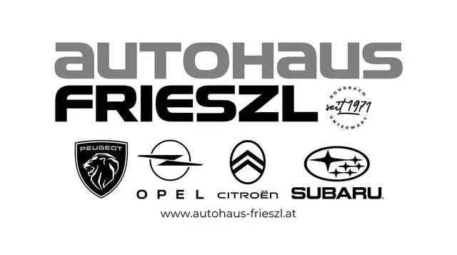 Volkswagen T6.1 Multivan Multivan Cruise T6.1 2,0 TDI 4Motion DSG, AHK, ... Ansicht 15