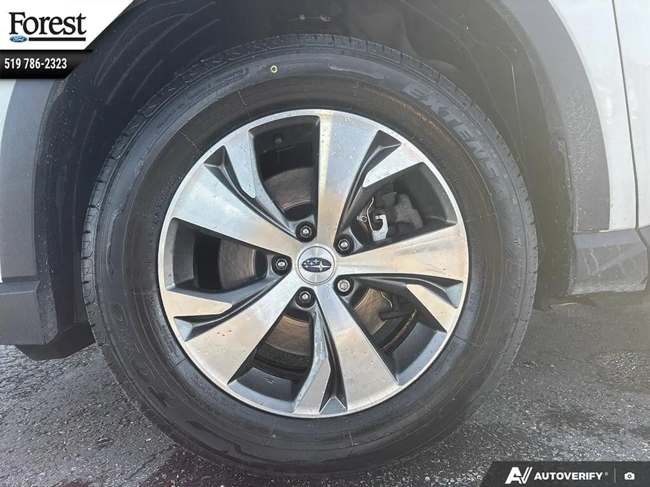 Subaru Ascent fotografie Subaru Ascent
