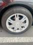 SEAT Ibiza Negro - thumbnail 11