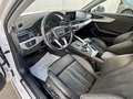 Audi A4 allroad A4 Allroad 2,0 TDI quattro S-tronic Weiß - thumbnail 7