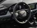 Skoda Kamiq 1.0 TSI Selection KAMERA NAVI FACEL. LED Gris - thumbnail 14
