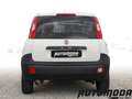 Fiat Panda 1.2 B/Gpl Van 2 posti Bianco - thumbnail 5