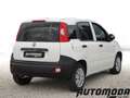Fiat Panda 1.2 B/Gpl Van 2 posti Bianco - thumbnail 4