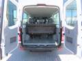 Mercedes-Benz Sprinter II Kombi 316 NGT 9 Sitze Blanco - thumbnail 17