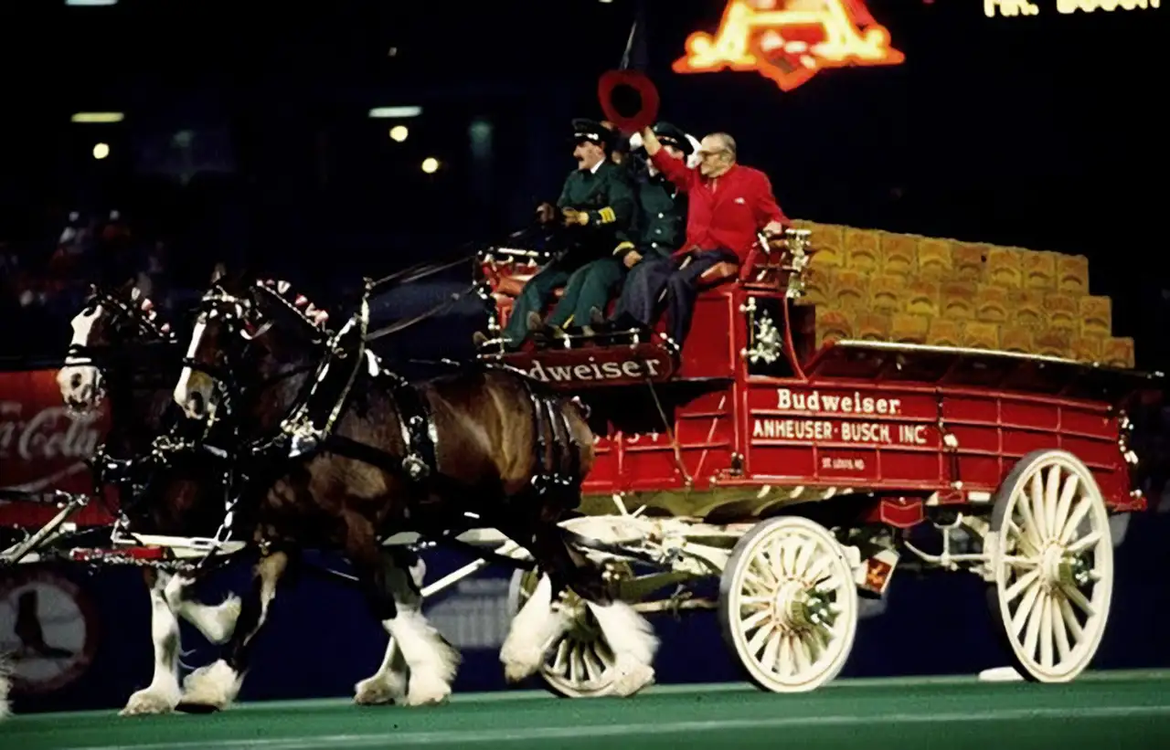 Lincoln Continental EXECUTIVE LIMOUSINE BY LEHMANN-PETERSON (BUILT FOR AUGUST A. BUSCH OF ANHEUSER-BUSCH) BUILT FOR AUGUST A. BUSCH OF ANHEUS, foto 5