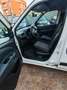 Fiat Dobló Panorama 1.3Mjt Active N1 E5+ Weiß - thumbnail 5