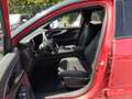 Renault Austral NUOVO techno MY24 E-Tech full hybrid 200 Rosso - thumbnail 13