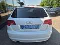 Audi A3 SB 1,2 TFSI Comfort Edition Weiß - thumbnail 6