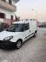 Fiat Doblo Doblo 1.6 mjt LOUNGE 105cv 2022 3 POSTI!!!!! Blanc - thumbnail 3