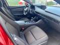 Mazda 3 5p 2.0 Exceed 120cv Rosso - thumbnail 8