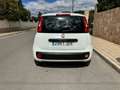 Fiat Panda 1.2 Young Blanco - thumbnail 4