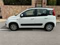 Fiat Panda 1.2 Young Blanco - thumbnail 7