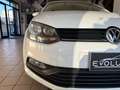 Volkswagen Polo Polo 5p 1.4 tdi Trendline 75cv Blanco - thumbnail 10