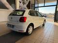 Volkswagen Polo Polo 5p 1.4 tdi Trendline 75cv Blanco - thumbnail 11