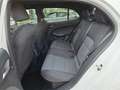 MG MG3 MG3 Hybrid+ Comfort Bianco - thumbnail 4
