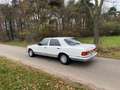 Mercedes-Benz 300 W126 300SD OM605 Automaat Weiß - thumbnail 21