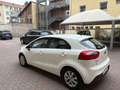 Kia Rio Active 1.2 CVVT Wit - thumbnail 5