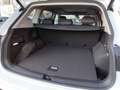Volkswagen Tiguan Allspace Life TSI DSG Weiß - thumbnail 21