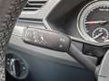 Skoda Superb Combi Premuim Edition 2.0 TDI 140 kW DSG Grey - thumbnail 17