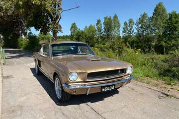 1966 V8 Fastback