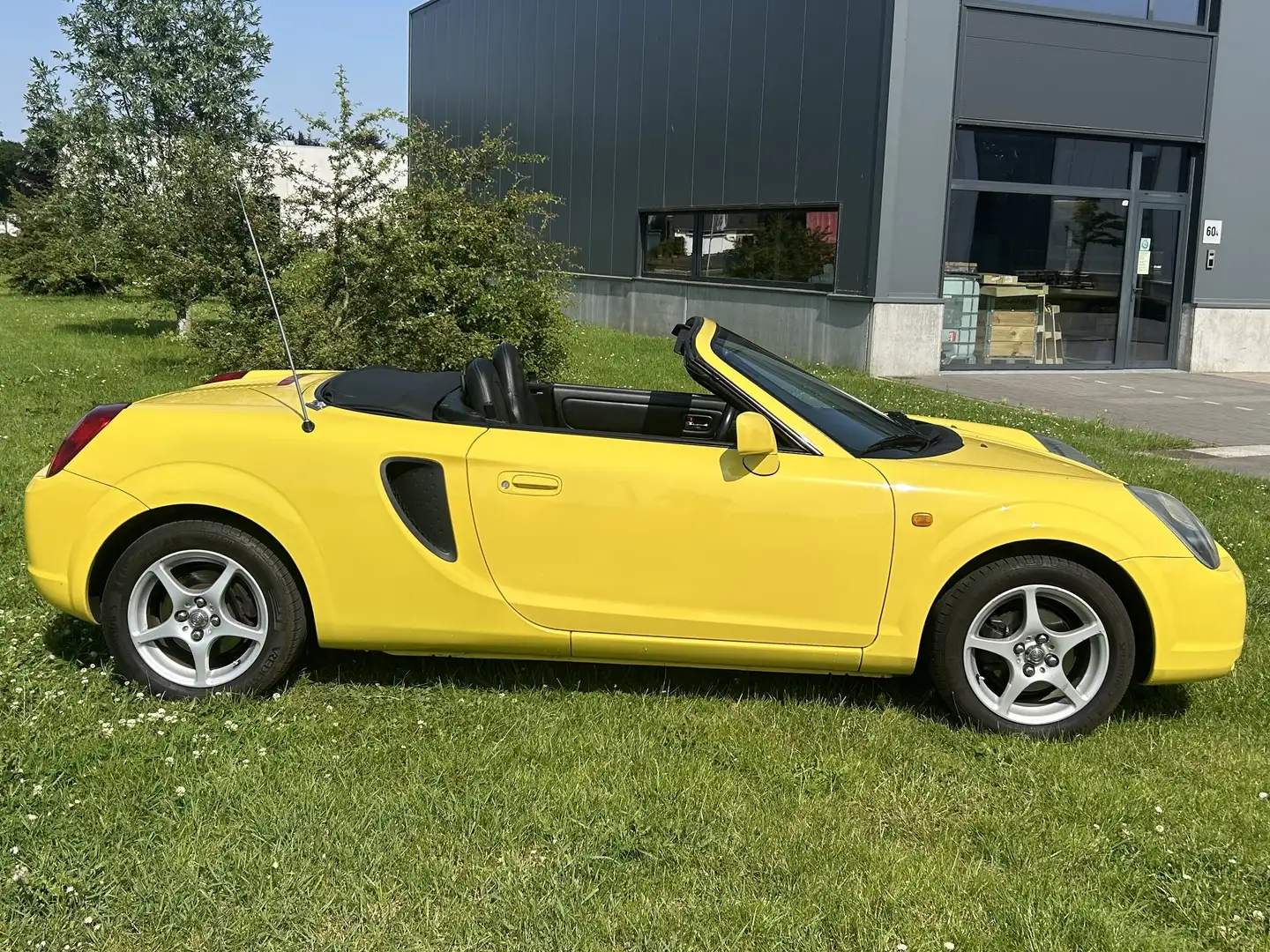 Toyota MR 2 Roadster VVT-i Gelb - 2
