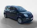 Fiat Panda Panda 1.0 FireFly S&S Hybrid City Life Zwart - thumbnail 7