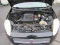 Fiat Punto Evo Punto EVO  5-Türer 1.4 8V Active Start Schwarz - thumbnail 16
