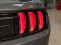 Ford Mustang Fastback 5.0 Ti-VCT GT Gris - thumbnail 23