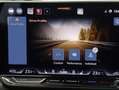 CUPRA Leon TRIBE 1.5 eTSI DSG ACT Grün - thumbnail 29