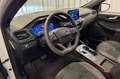 Ford Kuga 2.5 PHEV ST-Line X | Adaptieve Cruise | Blind Spot Wit - thumbnail 10