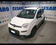 Fiat New Panda 1.0 FireFly Hybrid City Life Weiß - thumbnail 2