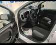 Fiat New Panda 1.0 FireFly Hybrid City Life Weiß - thumbnail 6