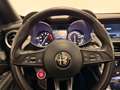 Alfa Romeo Stelvio 2.9 V6 AWD Quadrifoglio 510pk| Panorama Grau - thumbnail 30