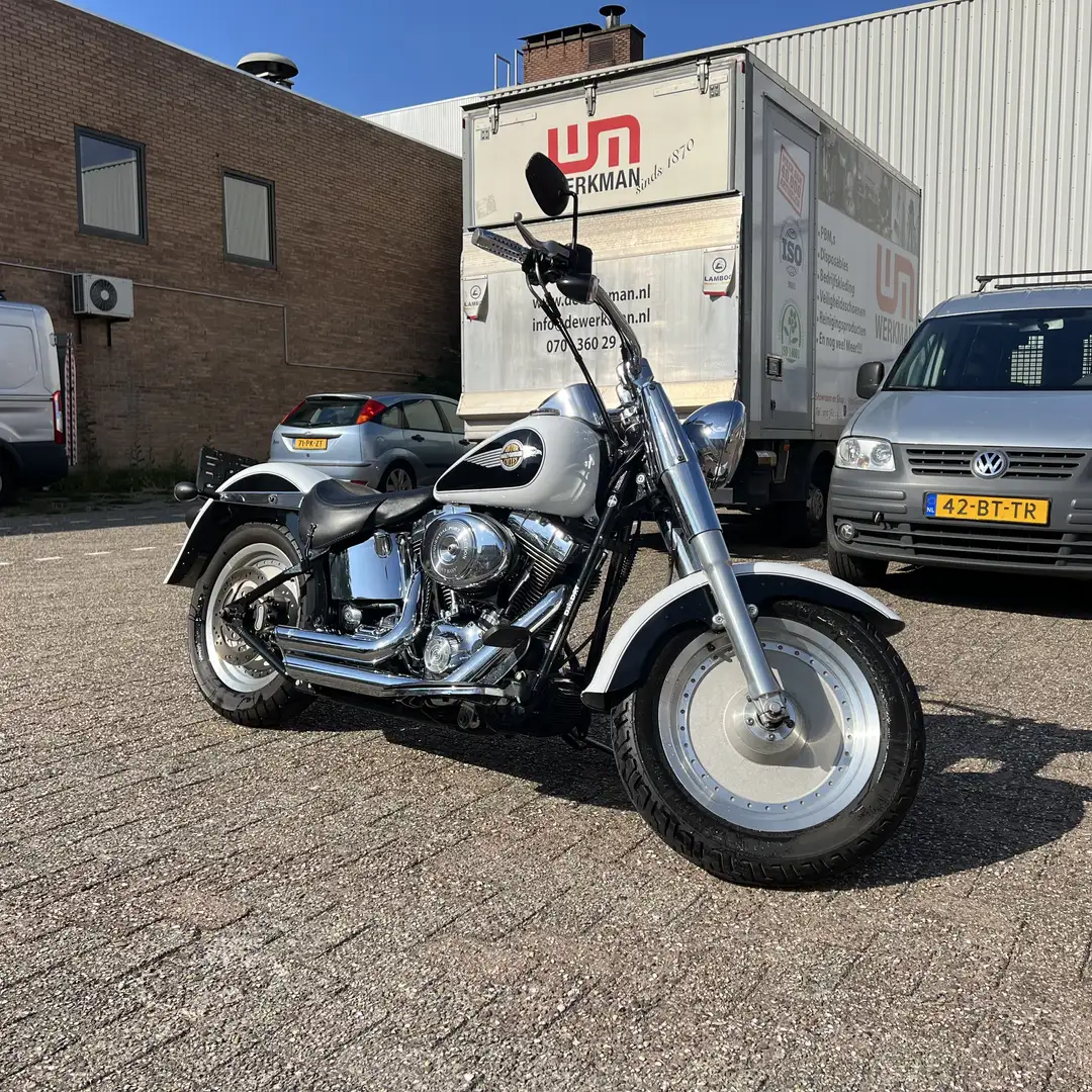 Harley-Davidson Fat Boy Alb - 2