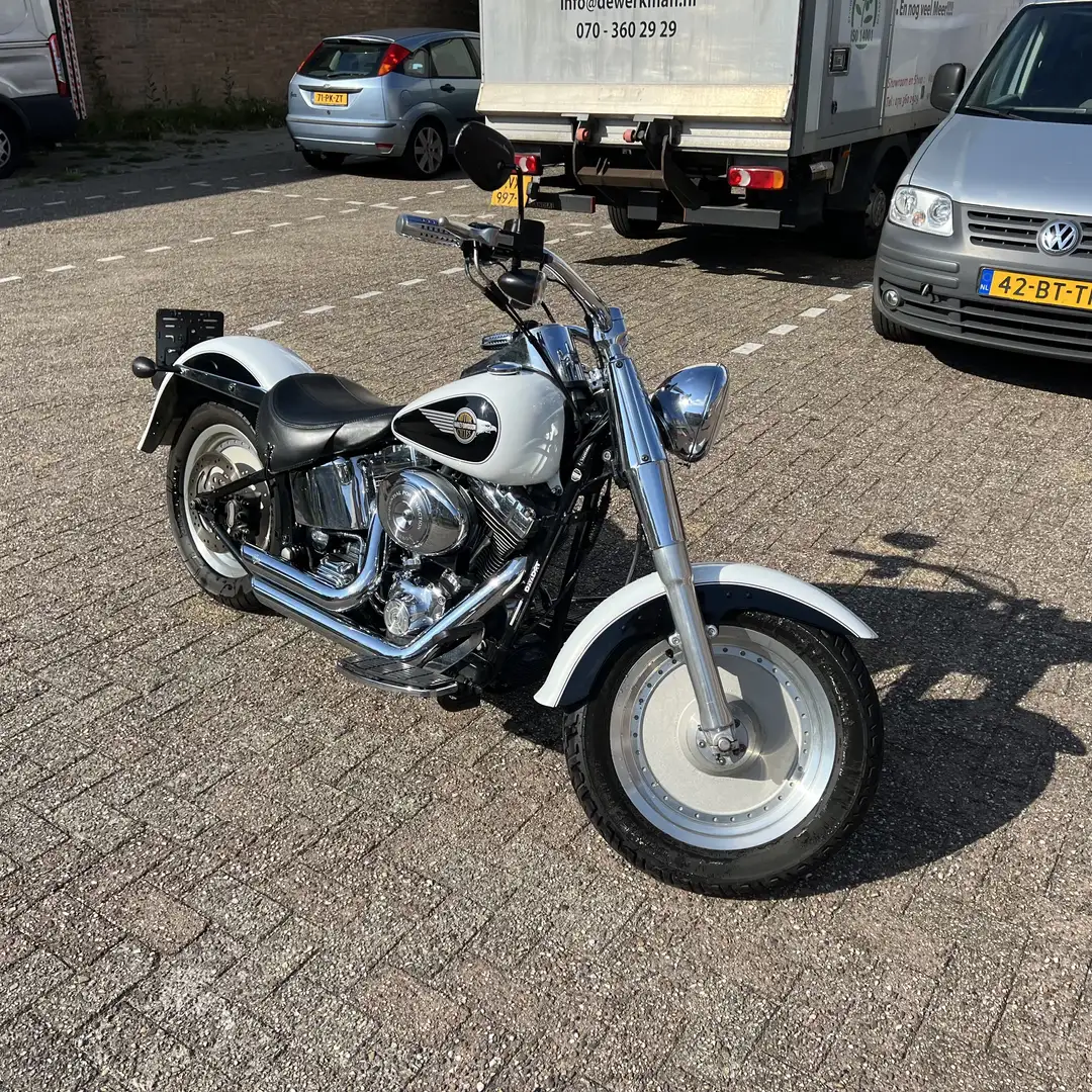 Harley-Davidson Fat Boy Alb - 1